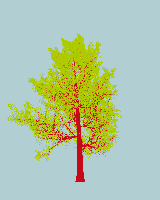 greenshift tree