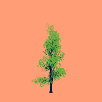 greenshift tree