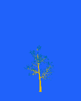 greenshift tree