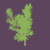 greenshift tree