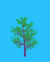 greenshift tree