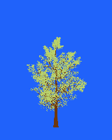 greenshift tree