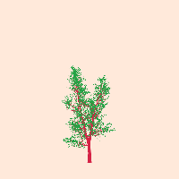 greenshift tree