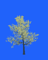 greenshift tree