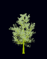 greenshift tree
