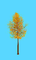 greenshift tree
