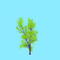 greenshift tree