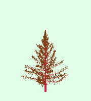 greenshift tree