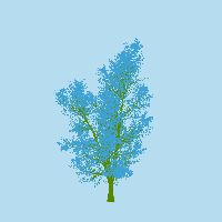 greenshift tree