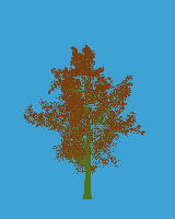 greenshift tree