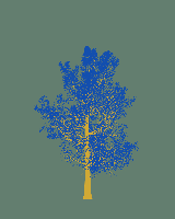 greenshift tree