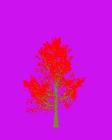 greenshift tree