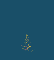 greenshift tree