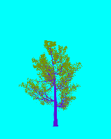 greenshift tree