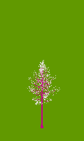 greenshift tree