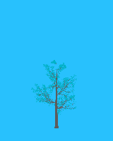 greenshift tree