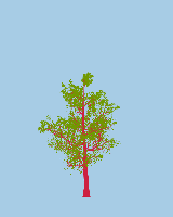 greenshift tree