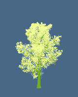 greenshift tree