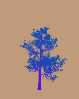 greenshift tree