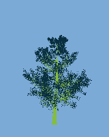 greenshift tree