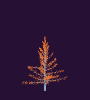 greenshift tree