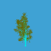 greenshift tree