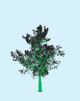 greenshift tree