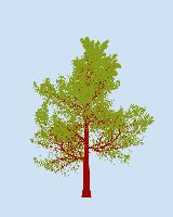 greenshift tree