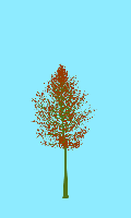 greenshift tree
