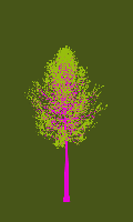 greenshift tree