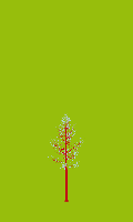 greenshift tree