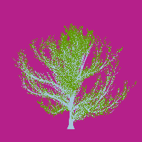 greenshift tree