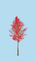 greenshift tree