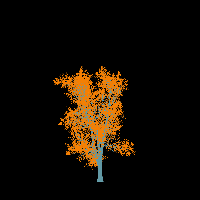 greenshift tree
