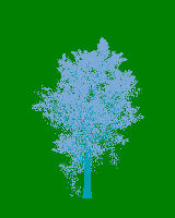 greenshift tree