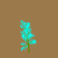 greenshift tree