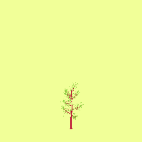 greenshift tree