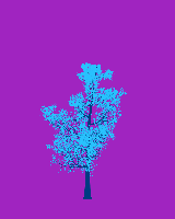 greenshift tree