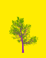 greenshift tree