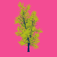 greenshift tree
