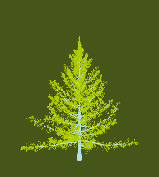 greenshift tree