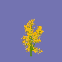 greenshift tree