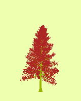 greenshift tree