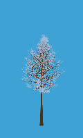 greenshift tree