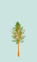 greenshift tree