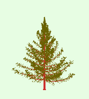 greenshift tree