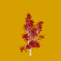 greenshift tree