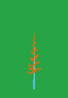 greenshift tree
