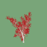 greenshift tree
