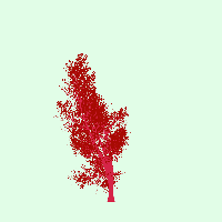 greenshift tree